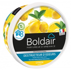 Lot de 6 unités Boldair gel destructeur d'odeurs citron 300 g