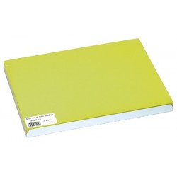 Carton de 500 sets de table papier 30 x 40 cm vert kiwi