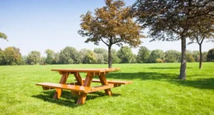 Table pique nique bois dans un parc